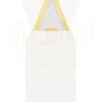 Fortune(gold) 1 Web