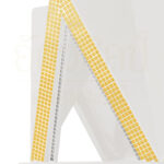 Fortune(gold) 3 Web